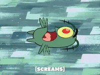 season 5 GIF by SpongeBob SquarePants