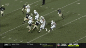 gostanford  GIF