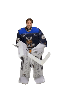 Celebration Goal Sticker by Hockey Club Châlonnais