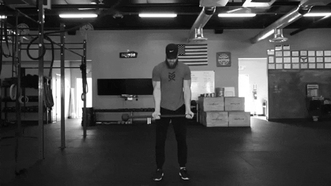 setforset giphygifmaker GIF