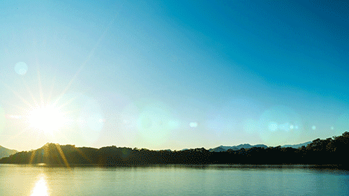 GIF by Matthew Butler