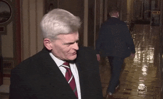 Bill Cassidy GIF by GIPHY News