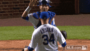 chicago cubs hug GIF by MLB