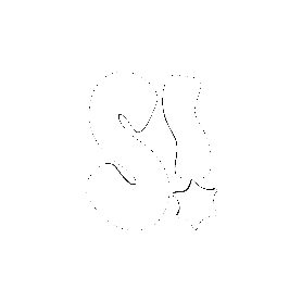 selectabudapest giphyupload selecta quera baeker Sticker