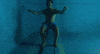 Penelope Cruz GIF by Coolidge Corner Theatre