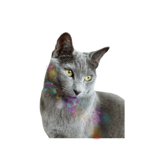 Loving Love Is Love Sticker