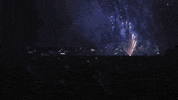 Reunions GIF by Princeton University