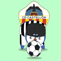 Football Sport GIF by Pudgy Penguins