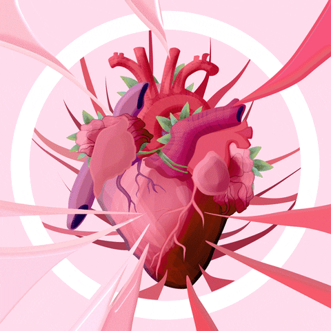 hmox animation heart beating GIF