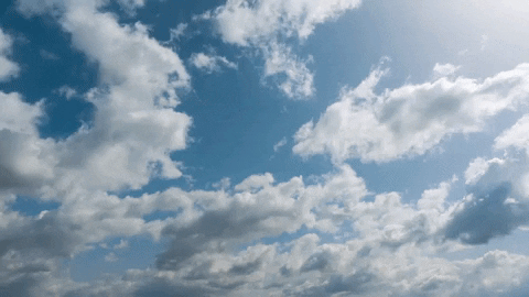 GIF by Celergen