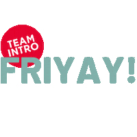 Teamintro Sticker by TeamIntro_Chantal