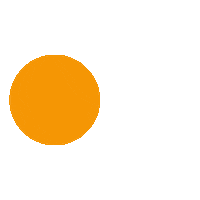 Mandarin Orange Health Sticker