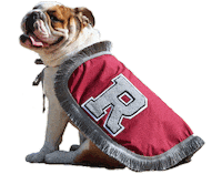 Bulldog Sticker by Addie - University of Redlands Mascot
