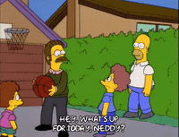 homer simpson todd flanders GIF