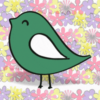 Delibarrasmx delibarrasmx delibarras pajaritodeli GIF