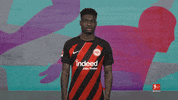 Oh No Facepalm GIF by Bundesliga