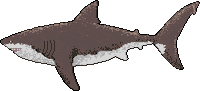PositPixel pixel art shark sprite sprites Sticker