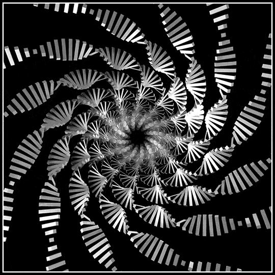 black and white geometry GIF by xponentialdesign