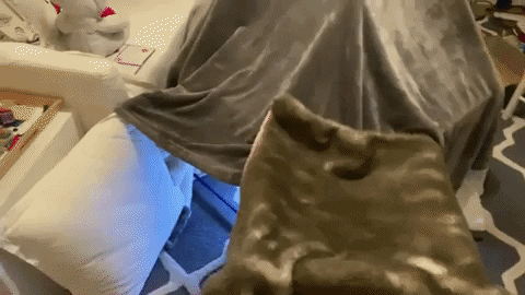 nicogif8 giphygifmaker GIF