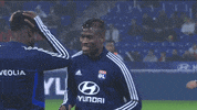 GIF by Ligue 1