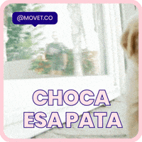 Movet dog celebrate pet success GIF
