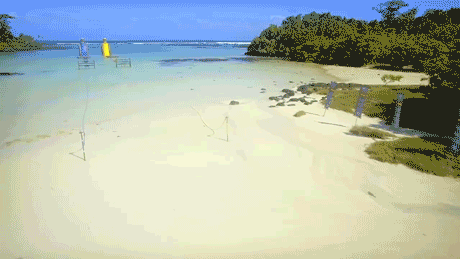 survivorau GIF by Australian Survivor