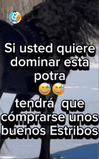 Amigos Esta GIF by Murcianys LLC