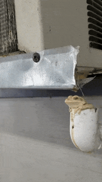wow GIF by JustViral.Net
