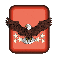 Country Girl Patriots Sticker by American Bonfire Co.