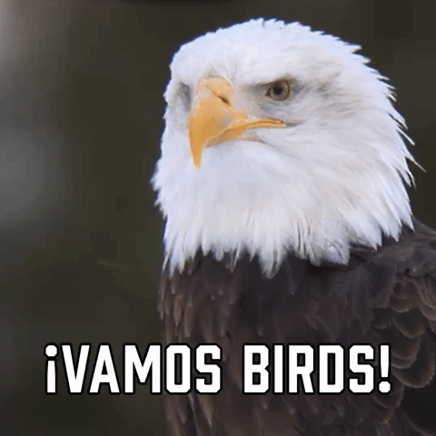 Β‘Vamos Birds!