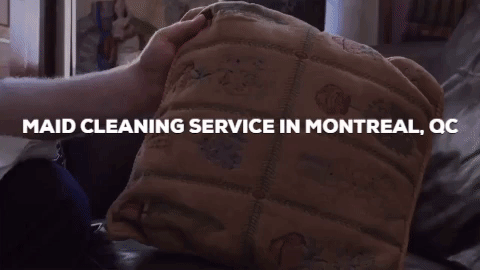 maid service montreal GIF