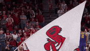 Hogs GIF by Arkansas Razorbacks