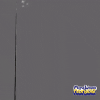 Cartoon Hiding GIF by Meme World of Max Bear