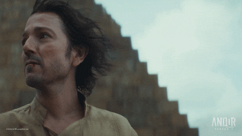 Cassian Andor GIF by Star Wars