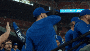 Blue Jays Baseball GIF by Toronto Blue Jays