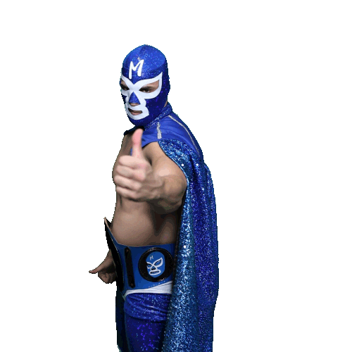 maskadorestacoshopaz giphyupload wrestling wrestler lucha Sticker