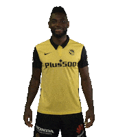 Celebration Bscyb Sticker by BSC Young Boys