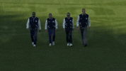 Seattle Mariners Sport GIF by MLB