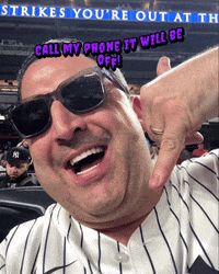 lilmomozzarella yankees ny yankees yanks lilmomozzarella GIF
