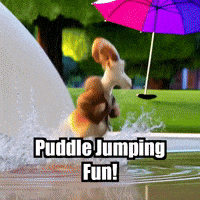 GIF by Radiantelope