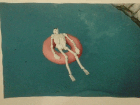jonnys_world giphygifmaker summertime skeleton GIF