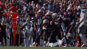 Football Nfl GIF by New England Patriots