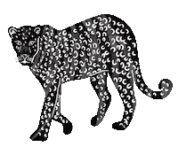 Cat Love Sticker
