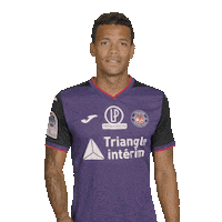 toulousefc football soccer club fifa Sticker