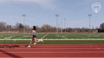 Arc Olympian GIF by All-Round Champion