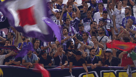 ligue 1 soccer GIF by Toulouse Football Club