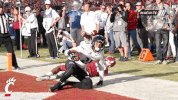 cincinnati bearcats celebration GIF by University of Cincinnati Athletics
