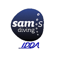 College Diving Sticker by diveidda