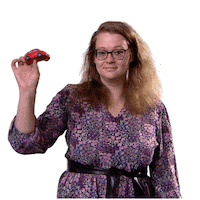 Radio Auto Sticker by Omroep Brabant