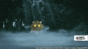Angry Cat GIF by SWR Kindernetz